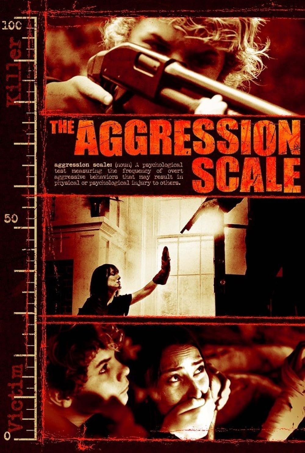 The Aggression Scale 