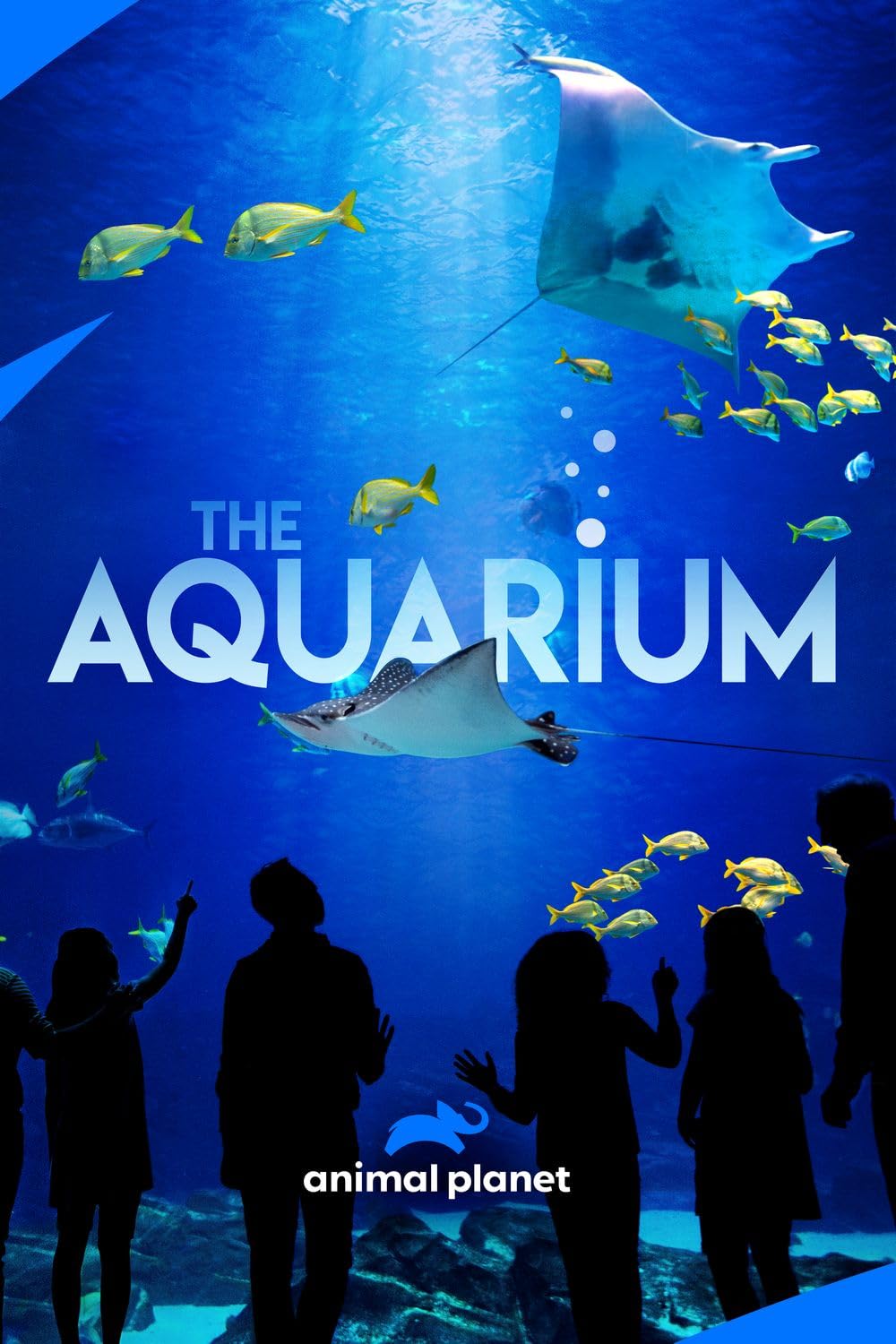 The Aquarium 