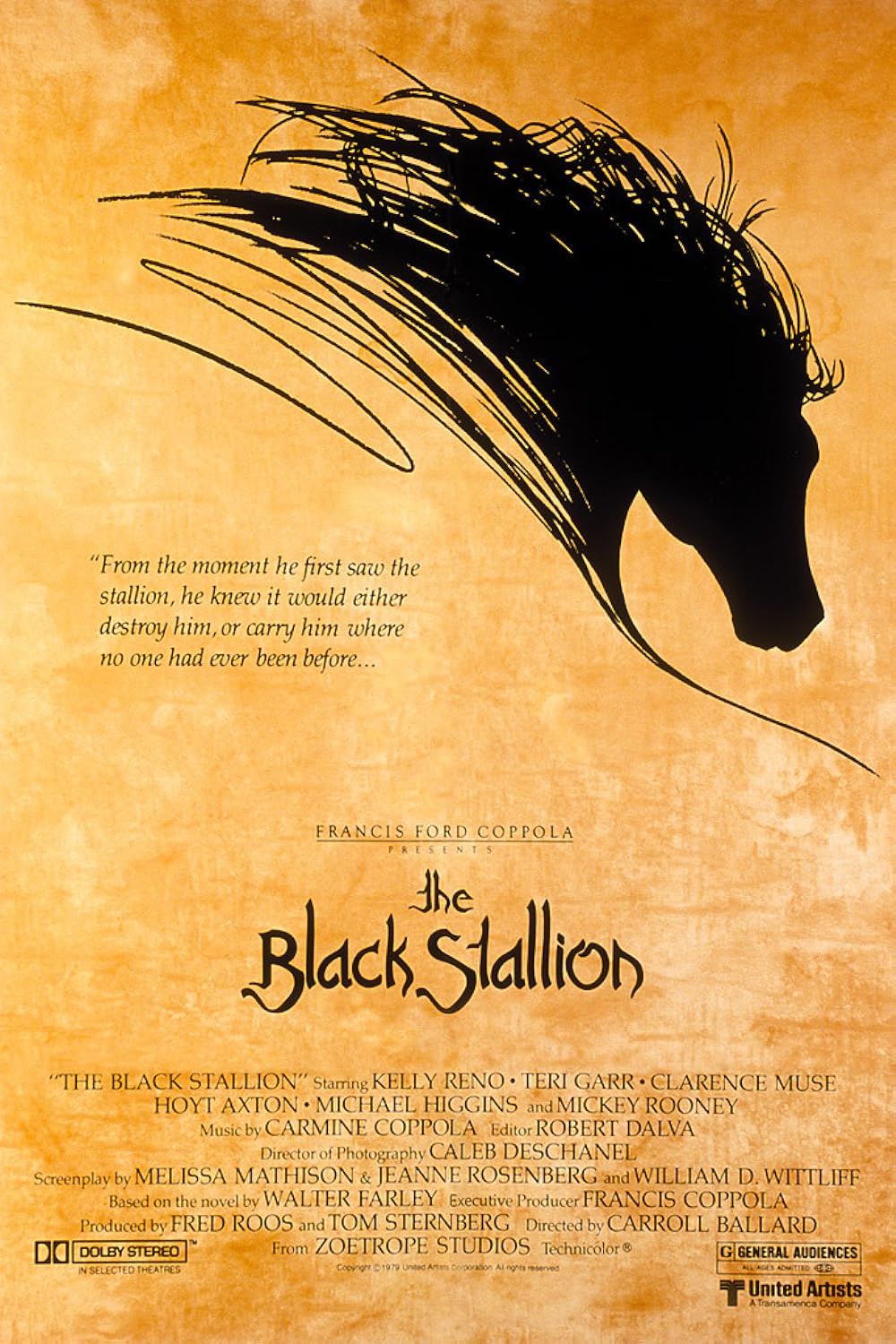 The Black Stallion 