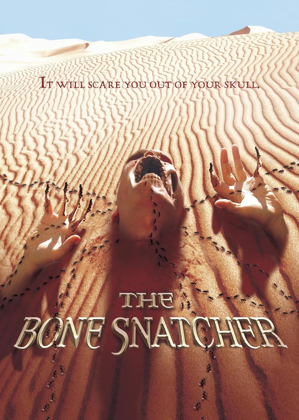 The Bone Snatcher 