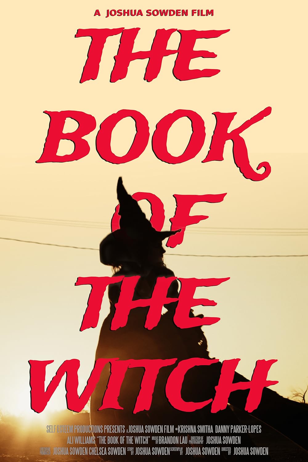 The Book of the Witch 