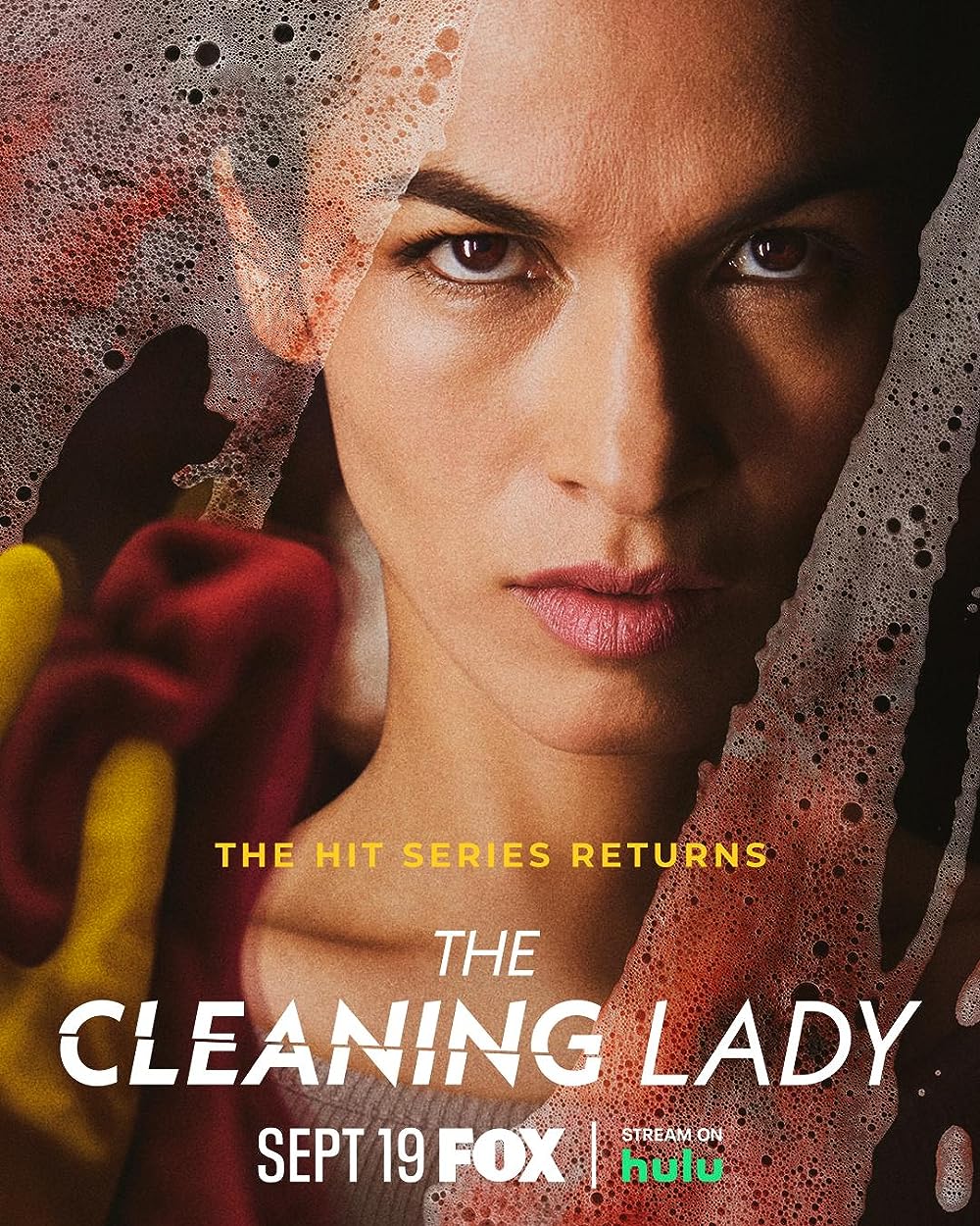 The Cleaning Lady 