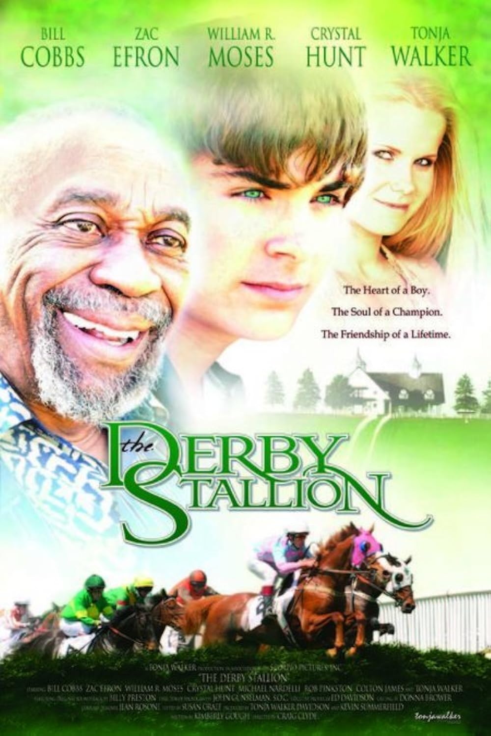 The Derby Stallion 