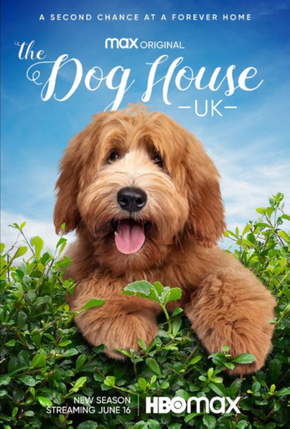 The Dog House 