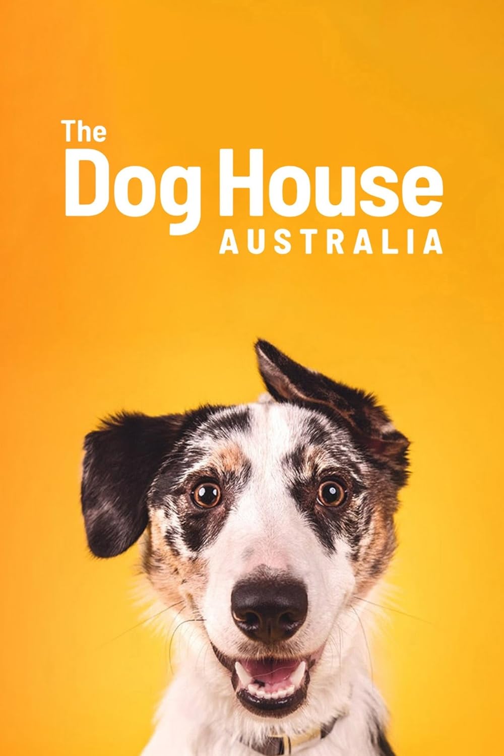 The Dog House Australia 