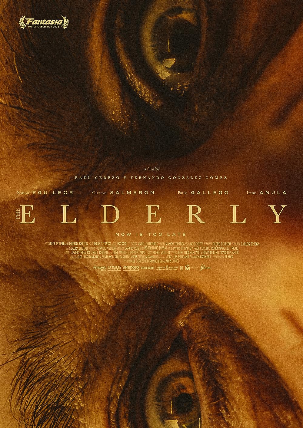The Elderly 