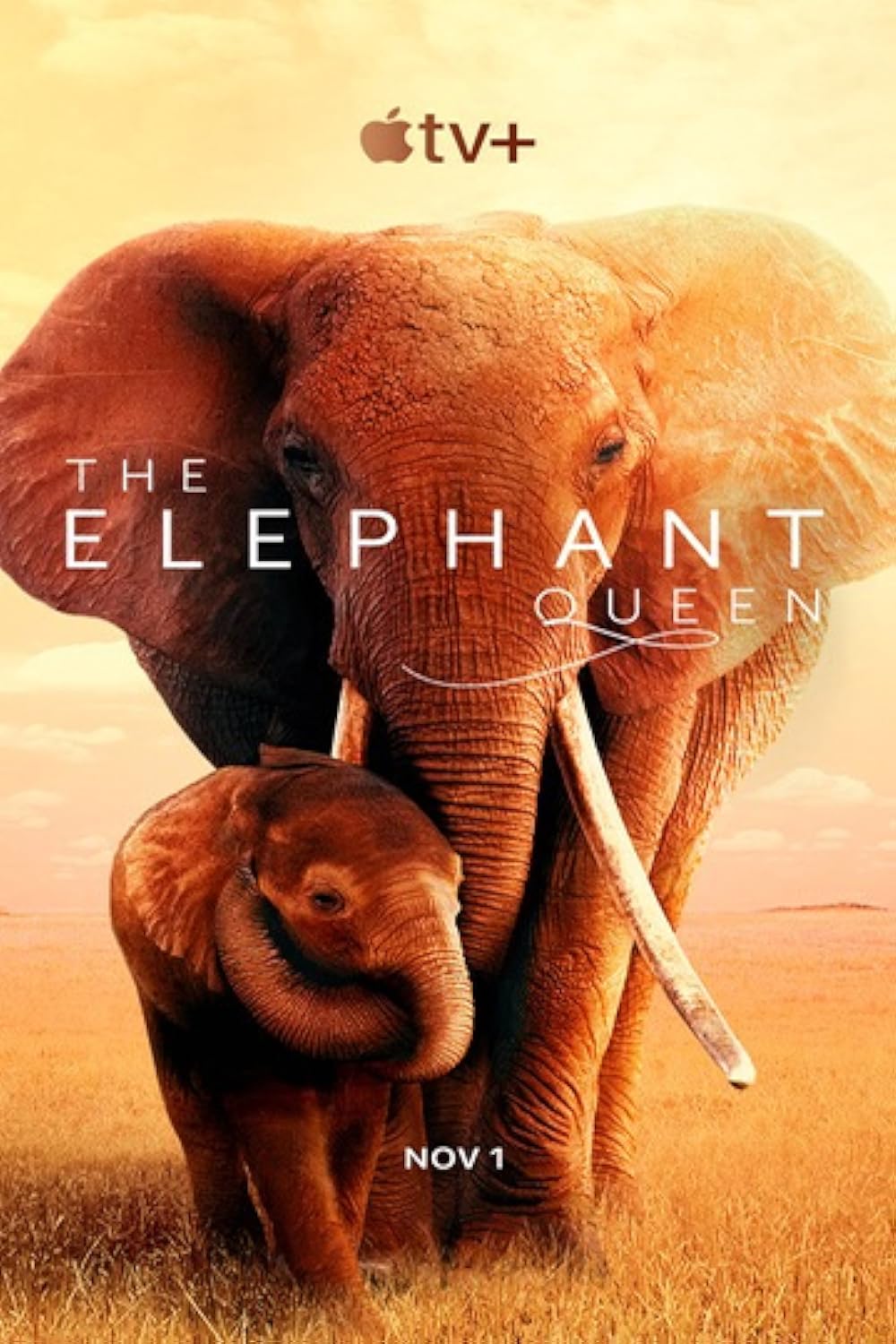 The Elephant Queen 