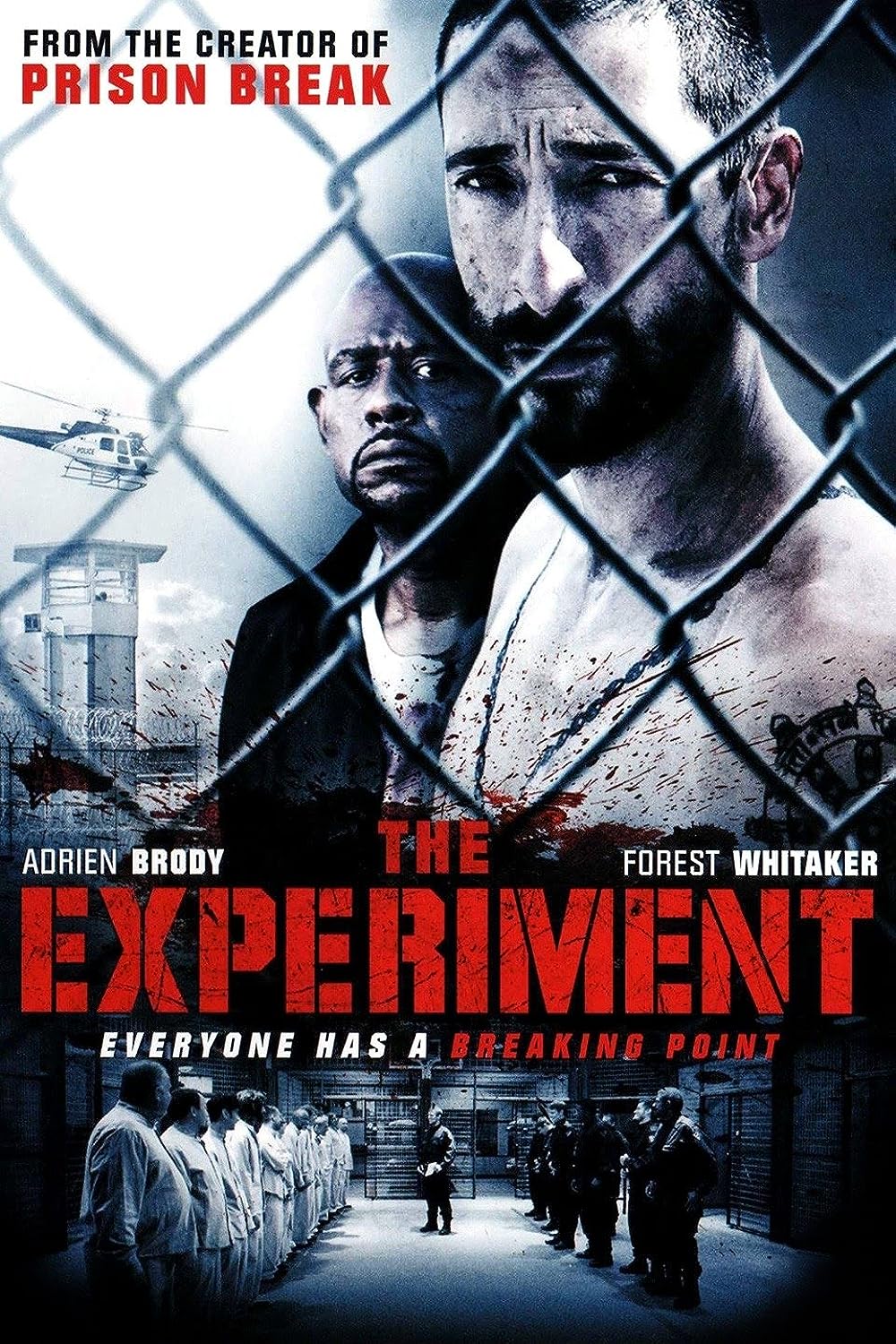 The Experiment 
