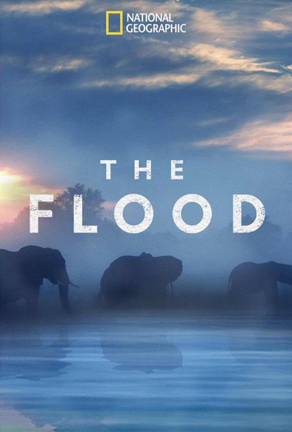 The Flood 