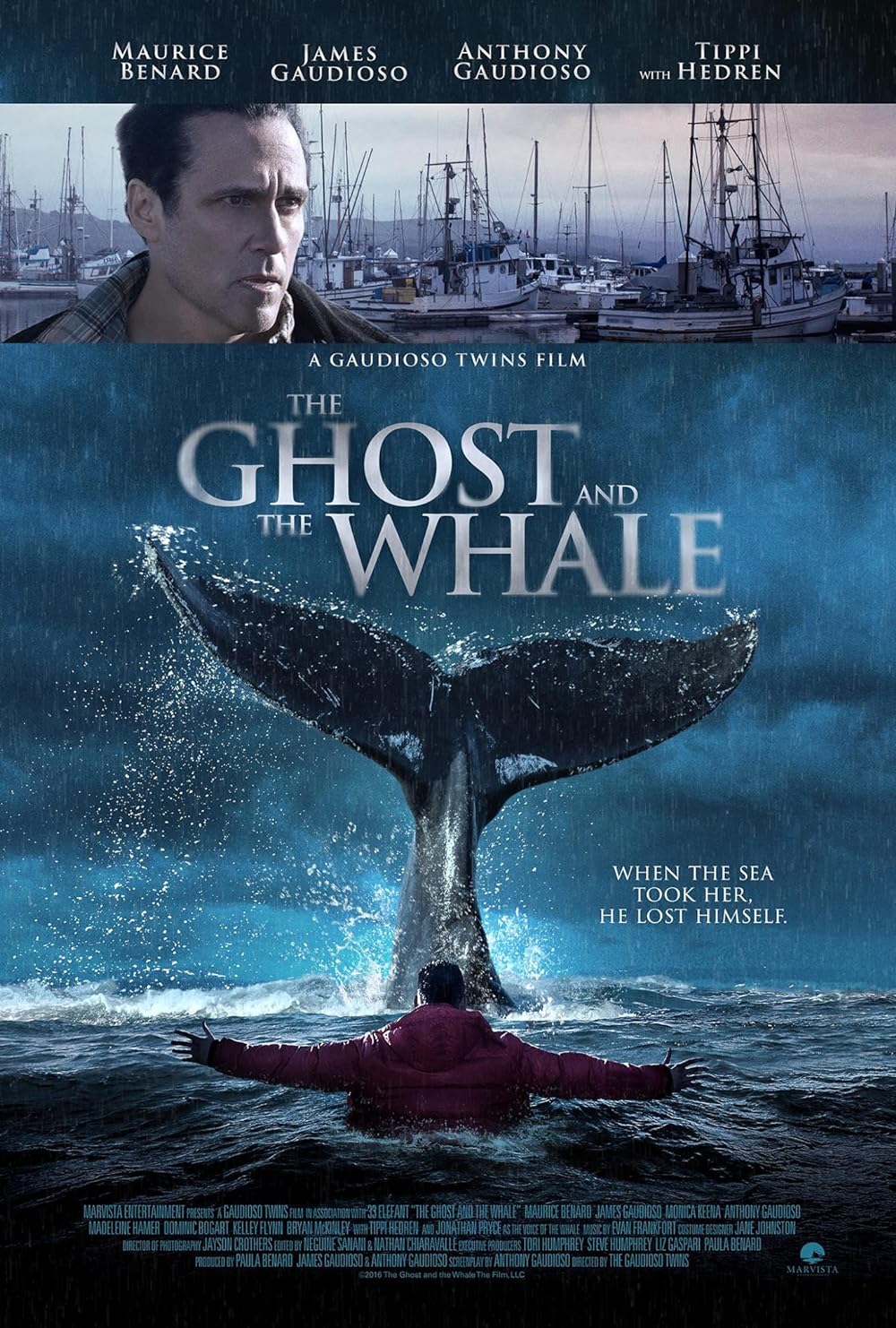 The Ghost and the Whale 