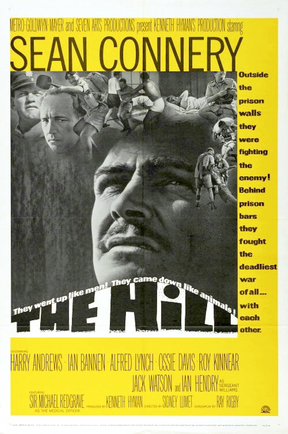 The Hill 