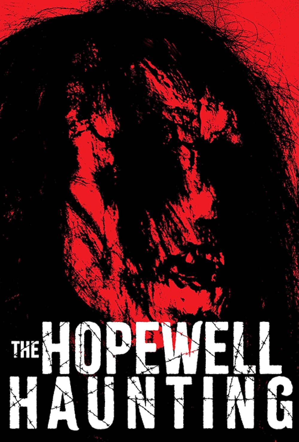 The Hopewell Haunting 