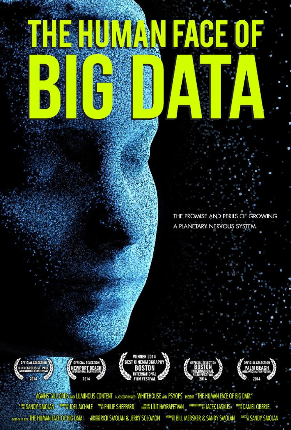 The Human Face of Big Data 