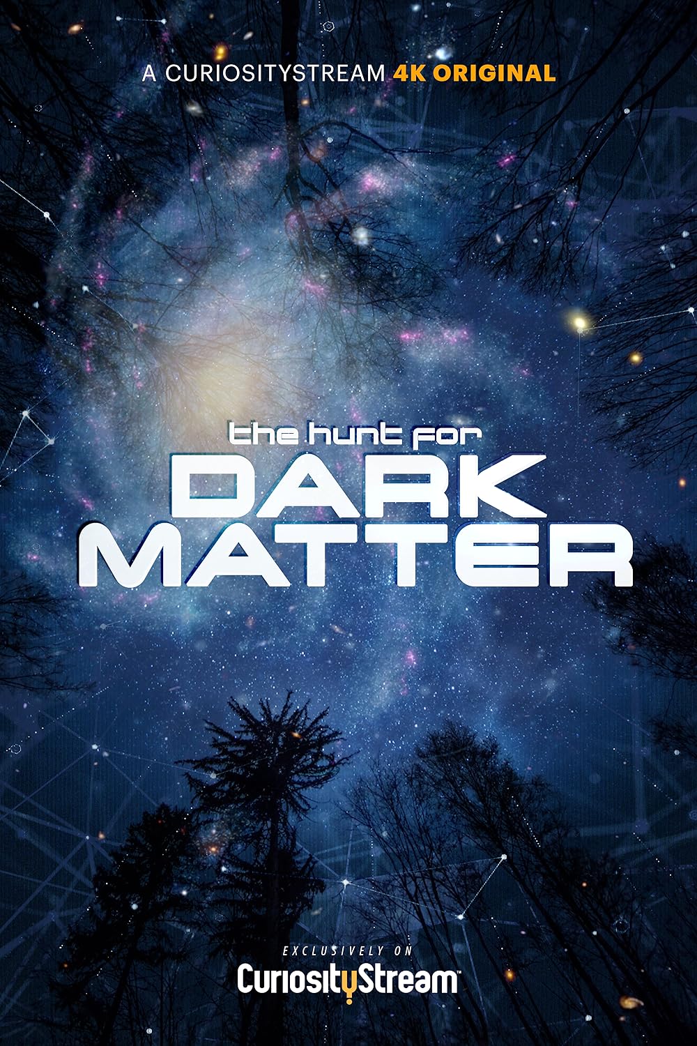 The Hunt for Dark Matter 