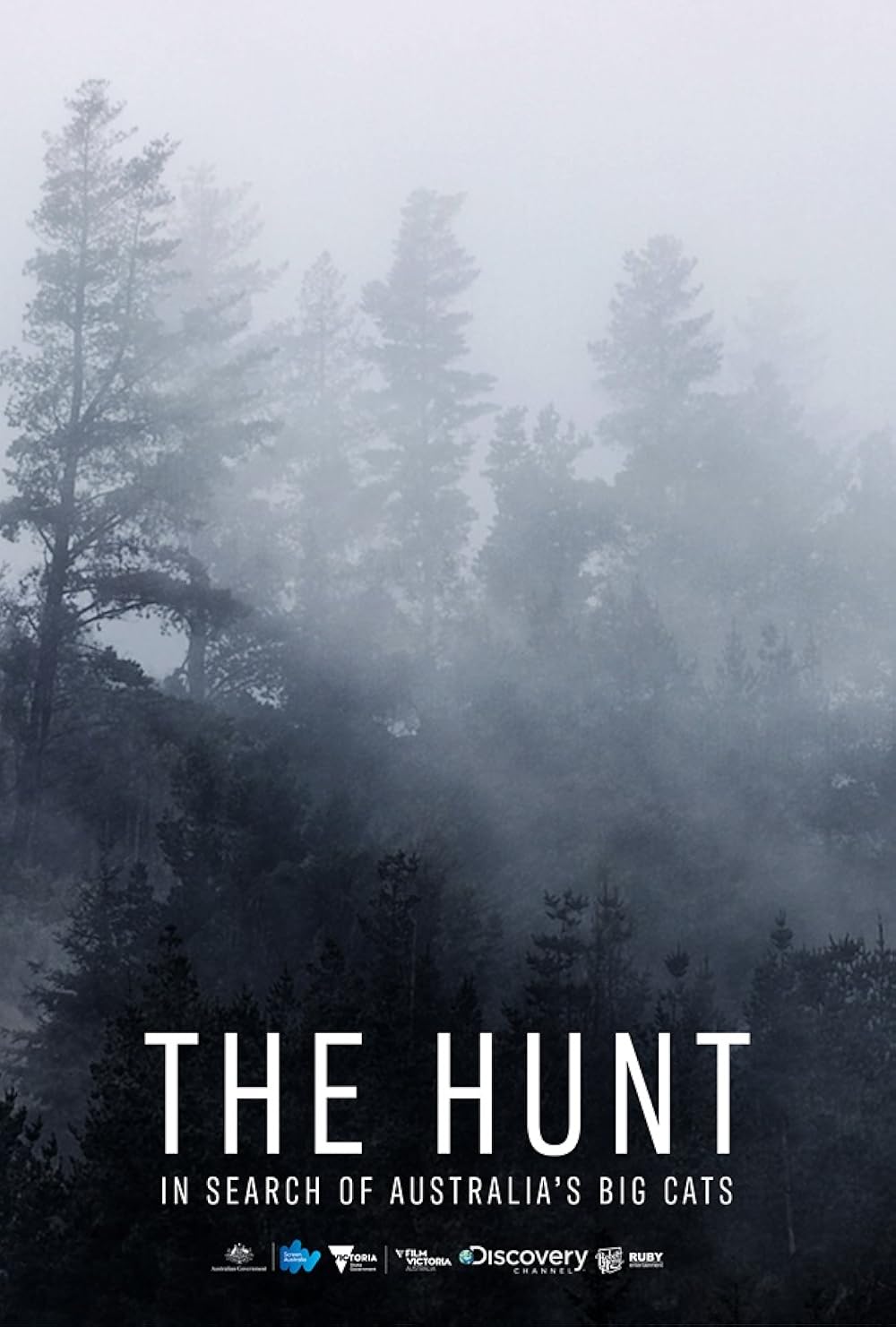 The Hunt: In Search of Australia's Big Cats 