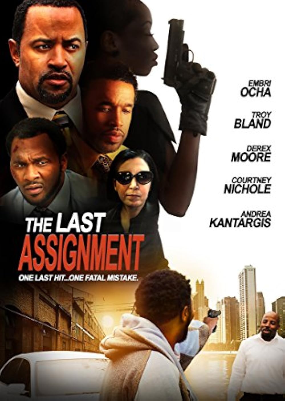 The Last Assignment 