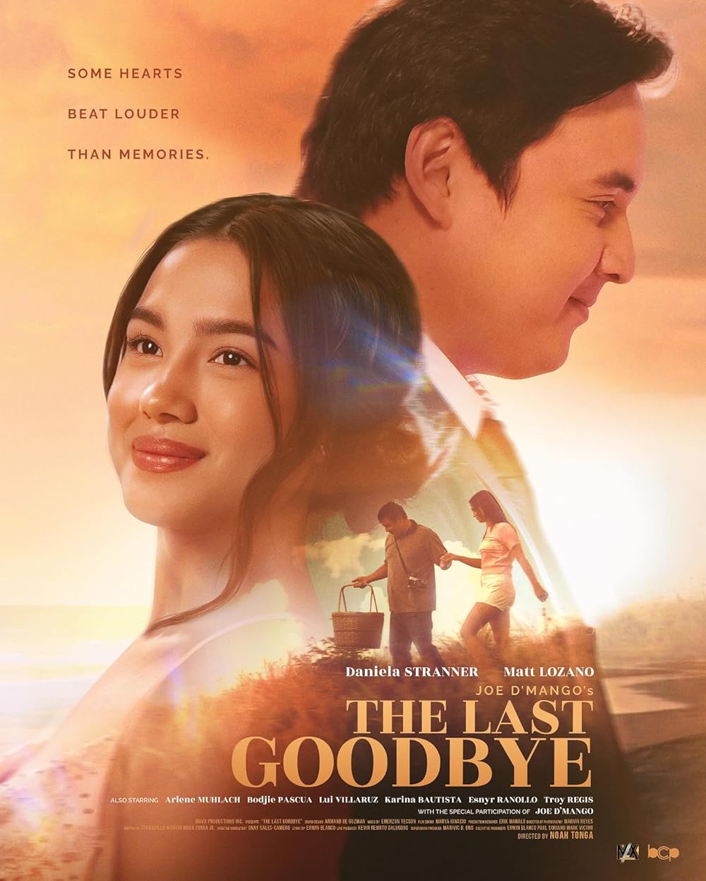 The Last Goodbye 