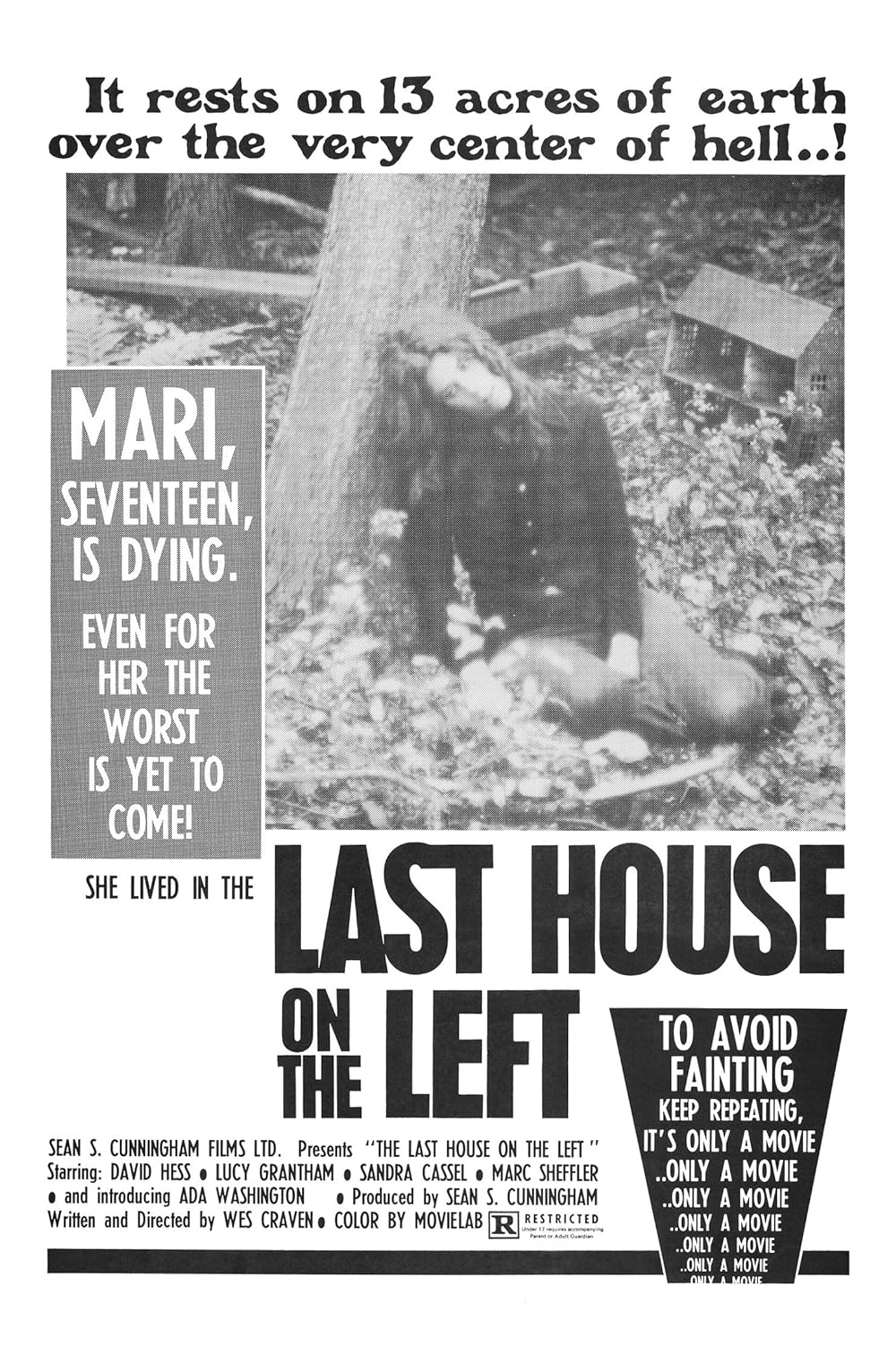 The Last House on the Left 