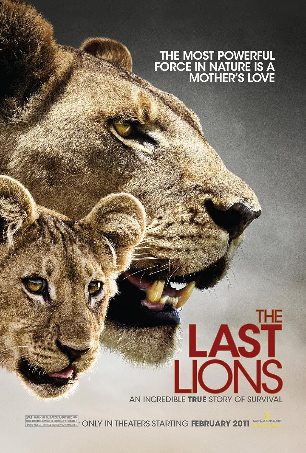 The Last Lions 