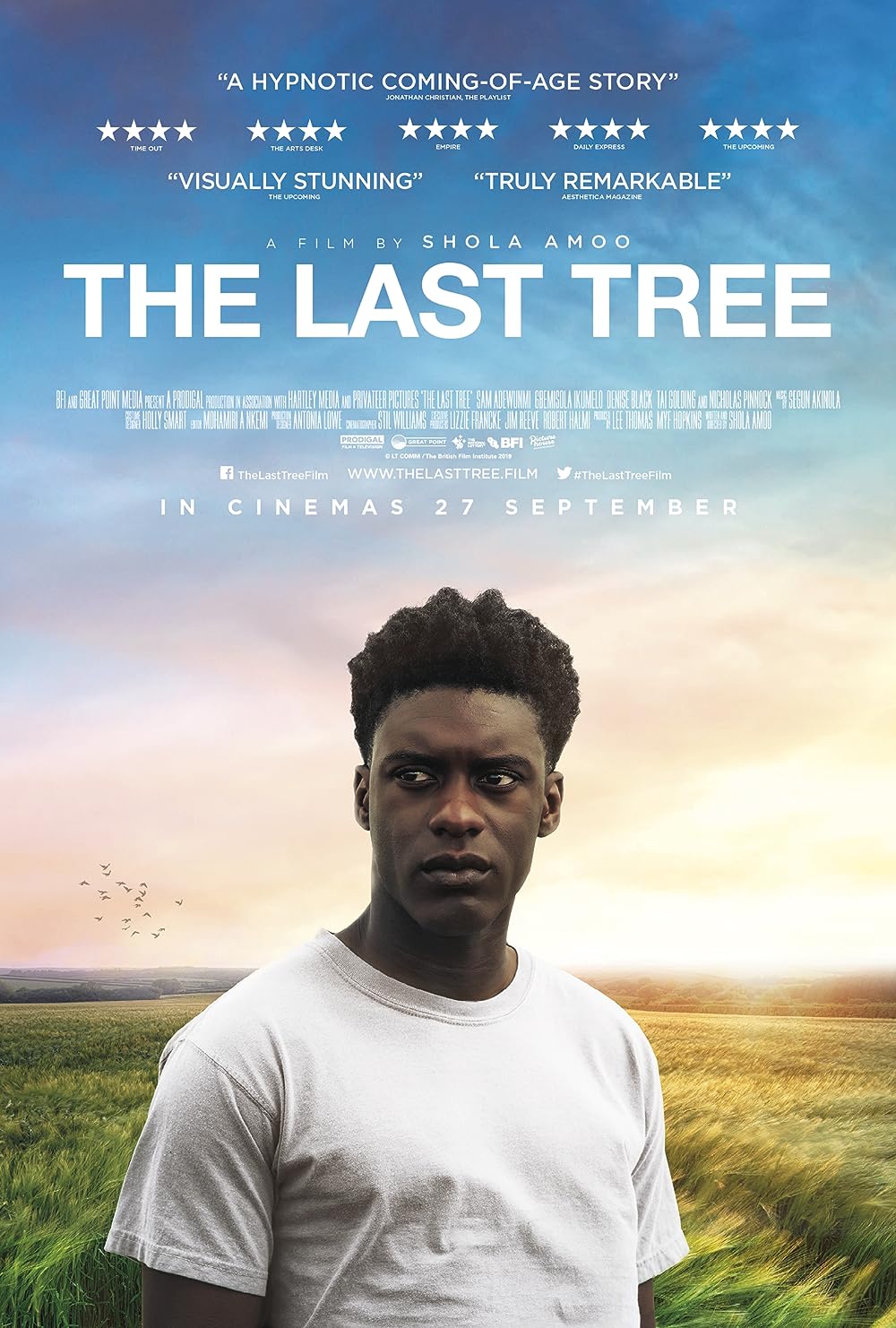The Last Tree 