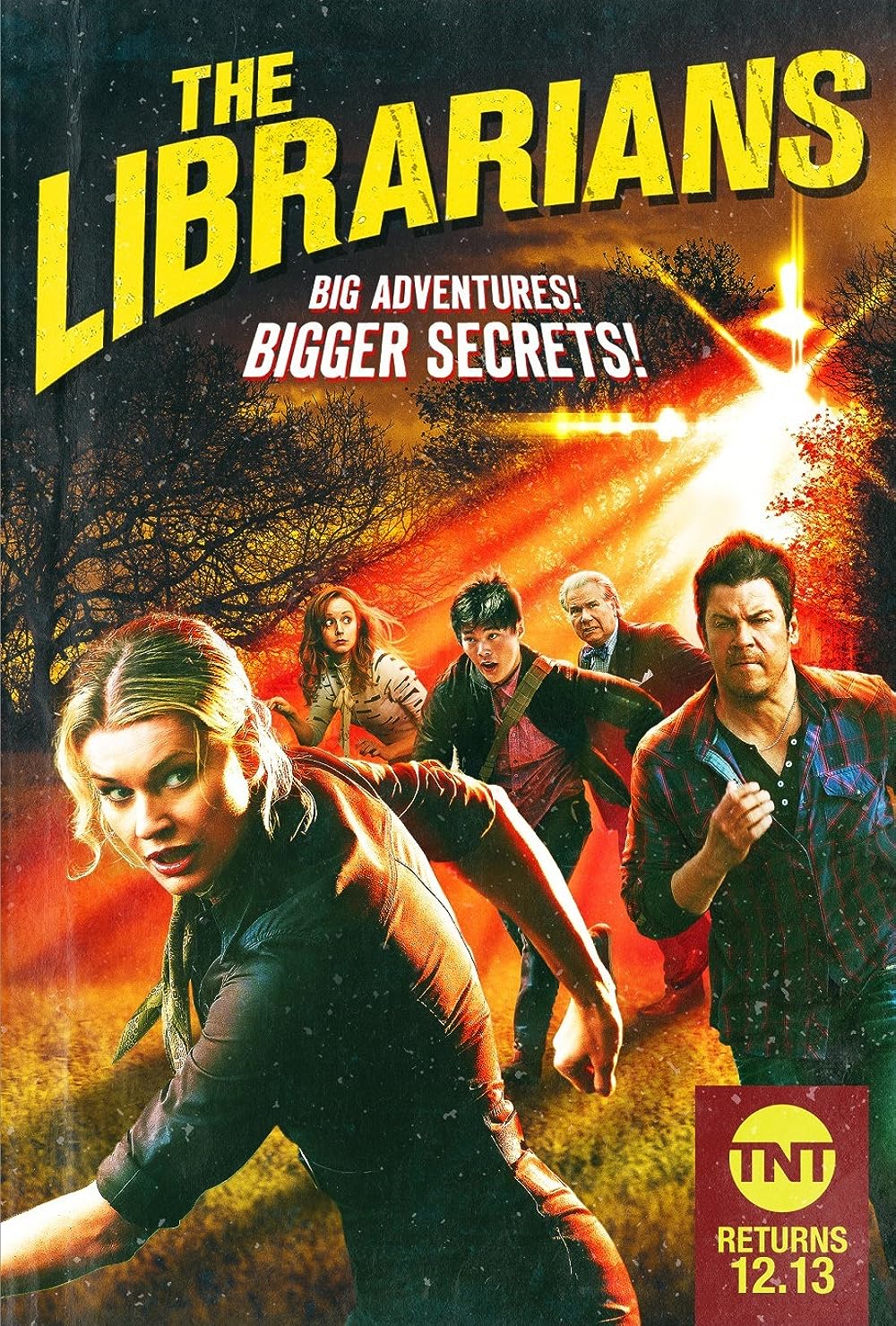 The Librarians 