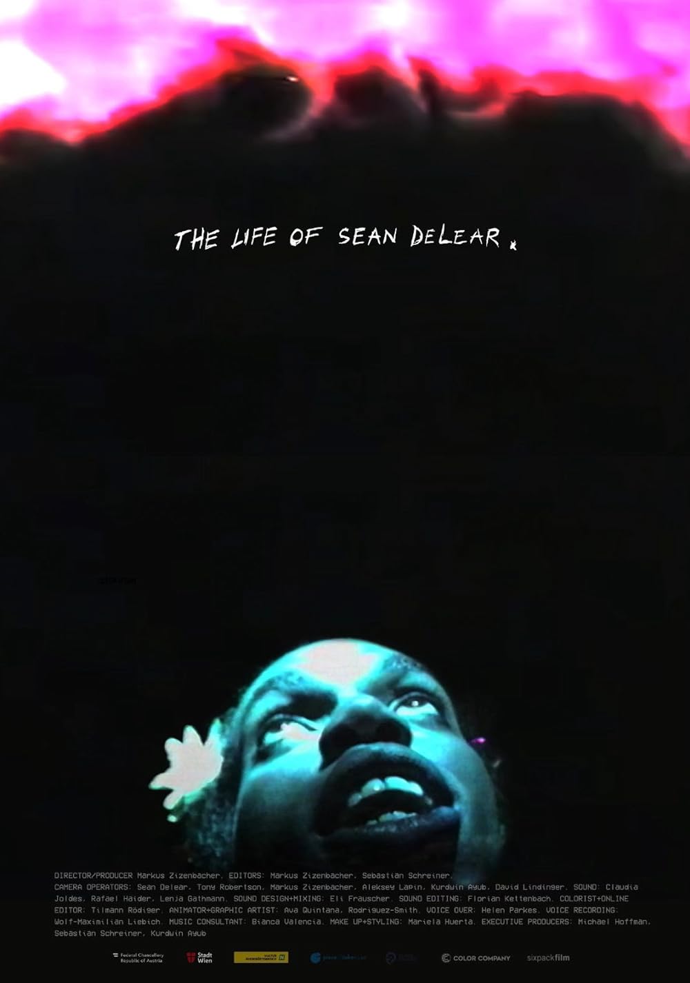 The Life of Sean DeLear 