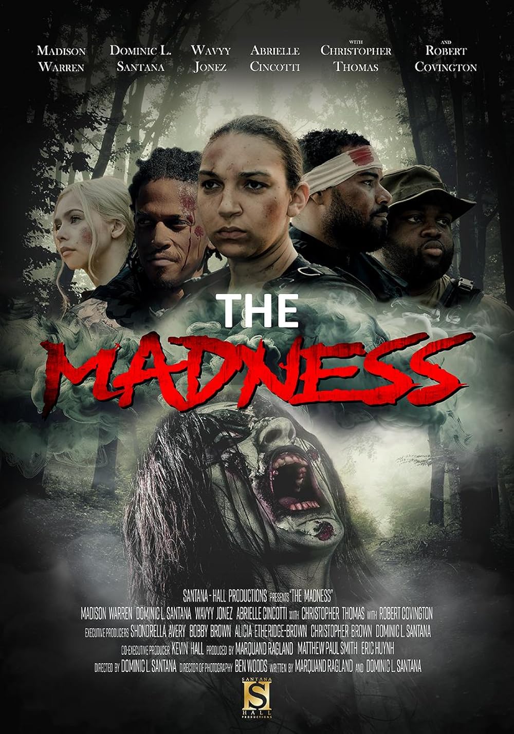 The Madness 