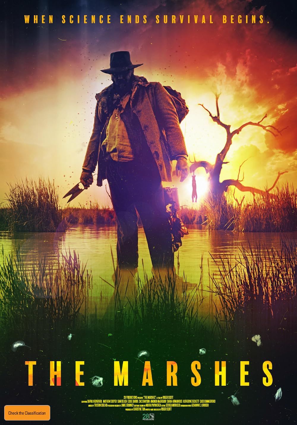 The Marshes 