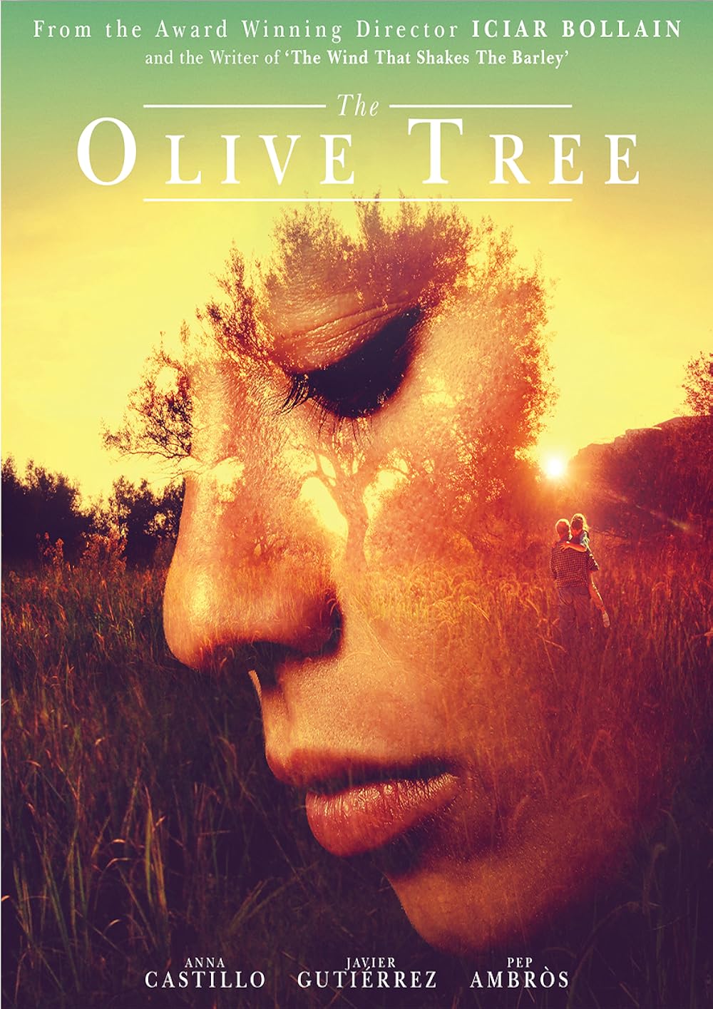 The Olive Tree 