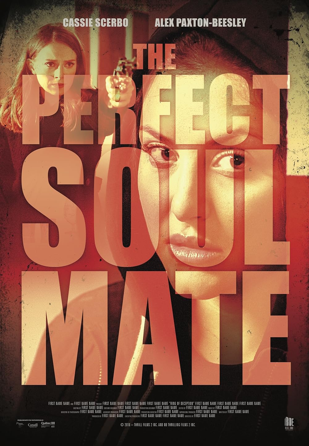 The Perfect Soulmate 