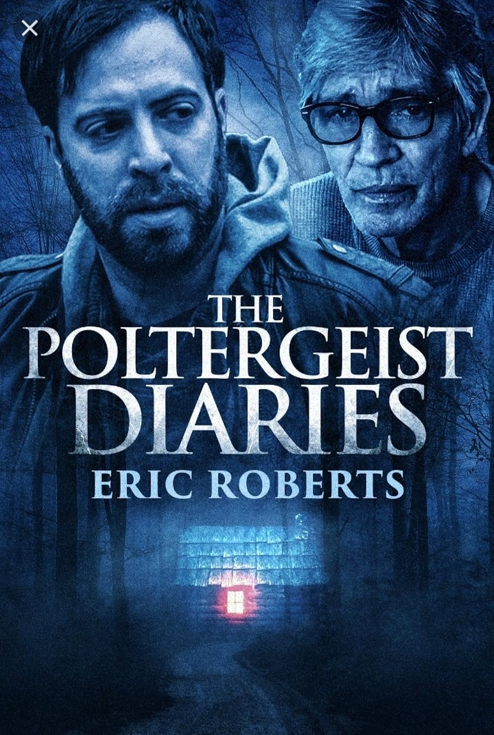 The Poltergeist Diaries 