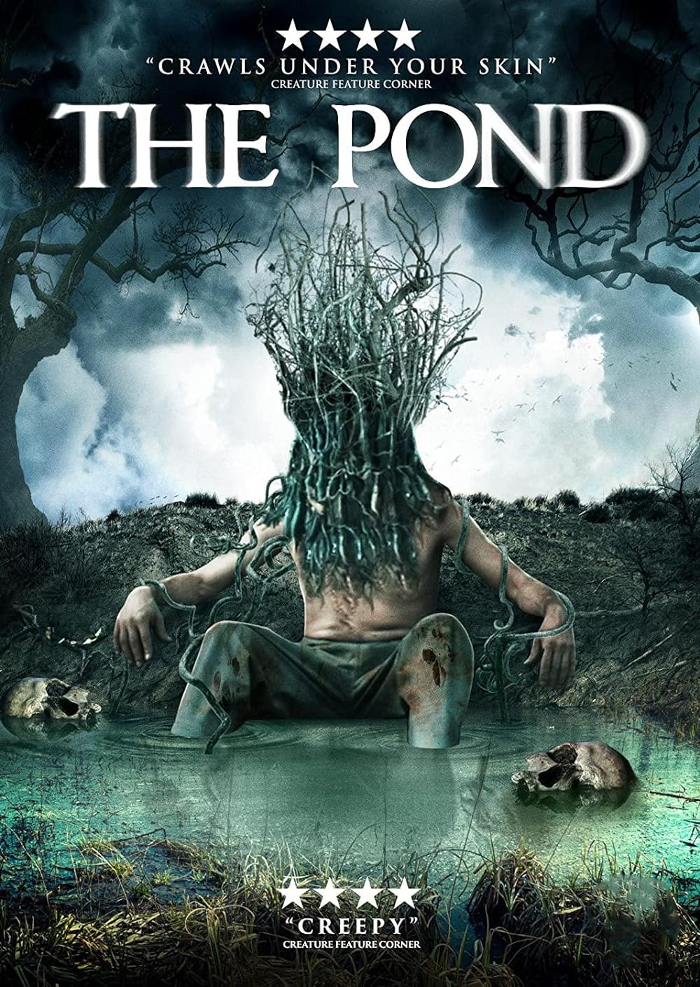 The Pond 