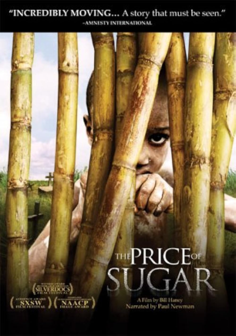 The Price of Sugar 