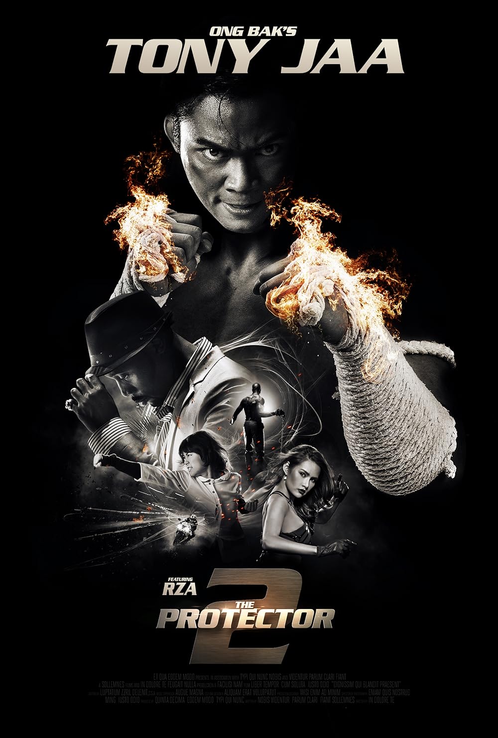 The Protector 2 