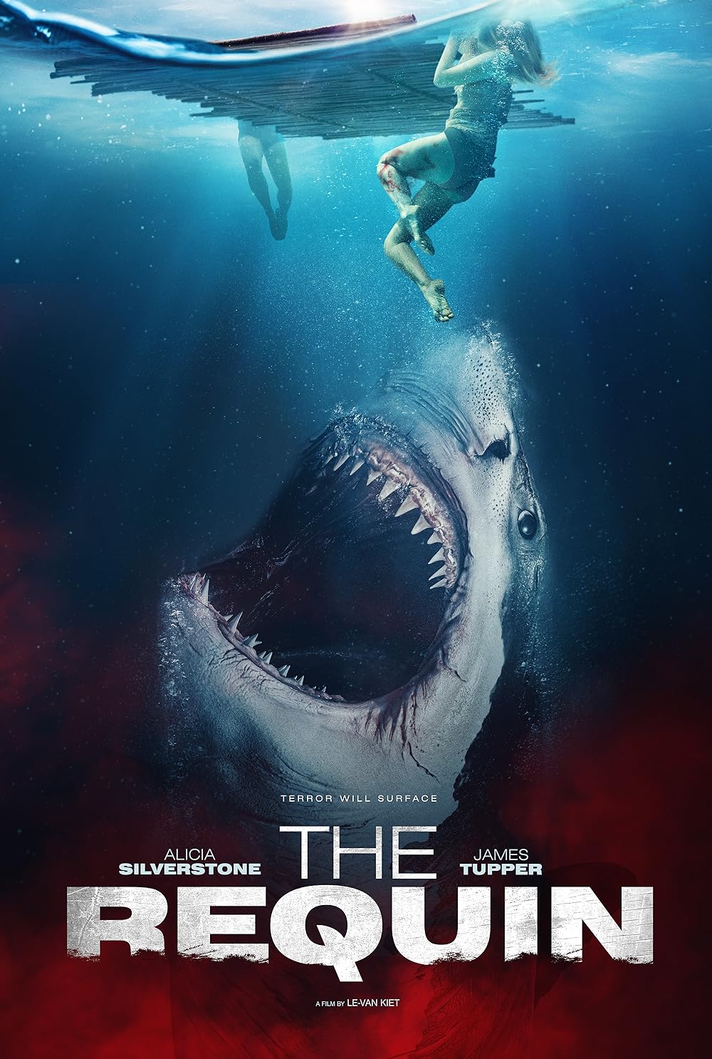 The Requin 