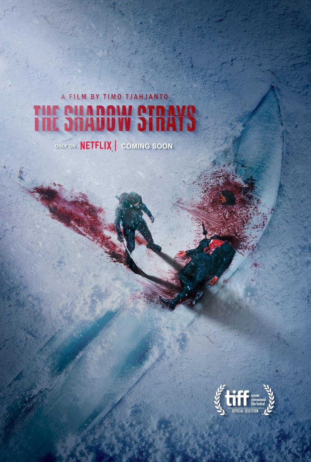 The Shadow Strays 