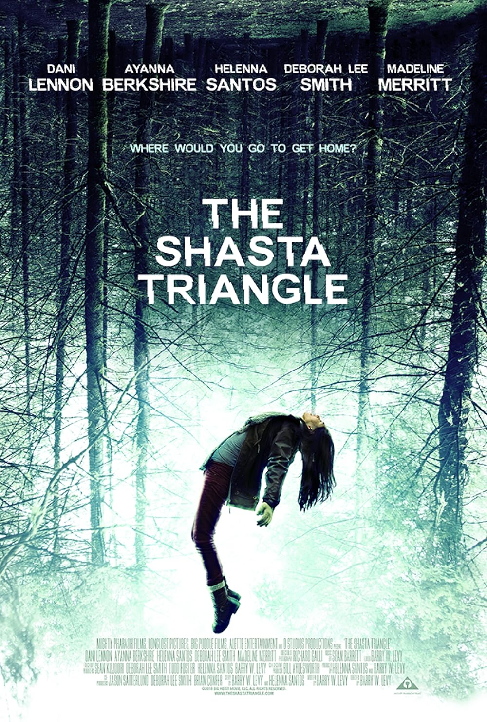 The Shasta Triangle 