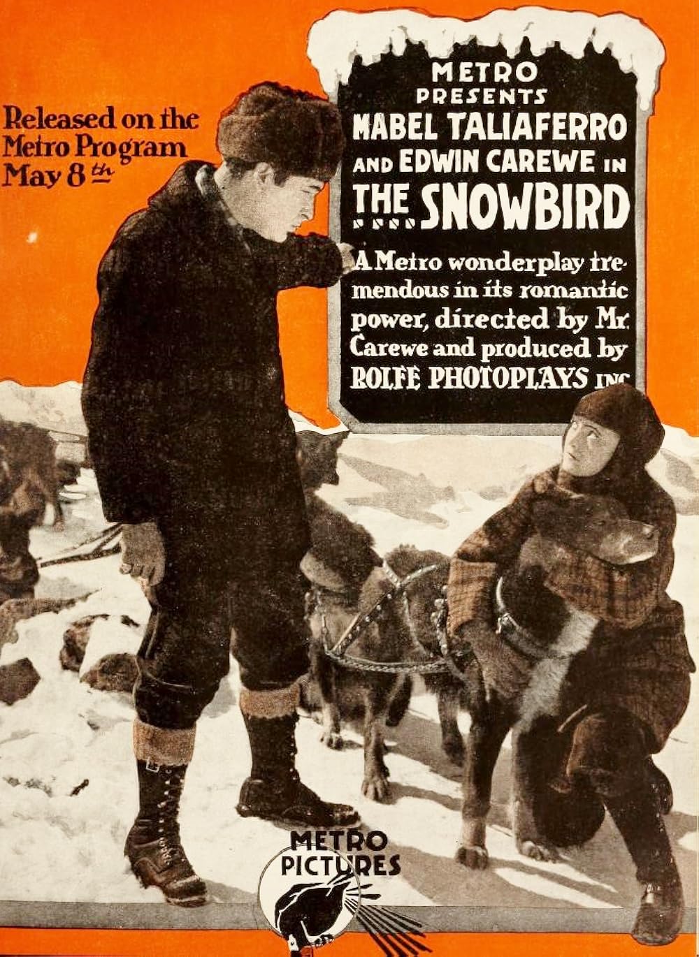 The Snowbird 