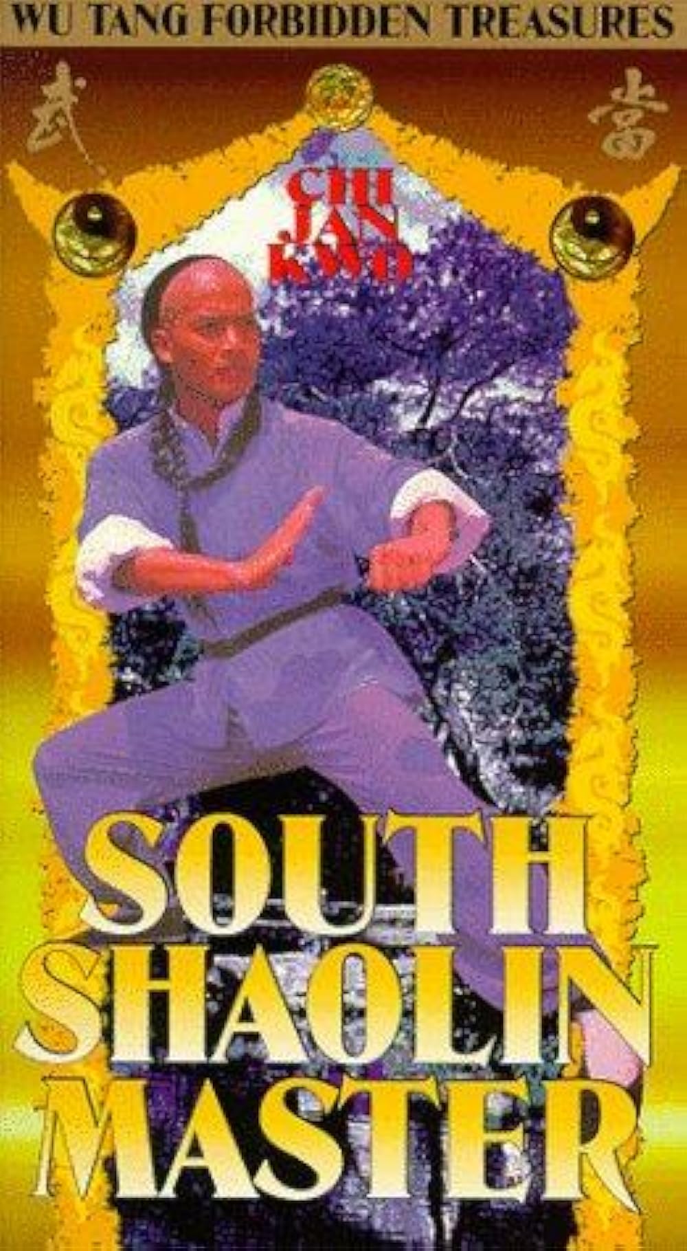 The South Shaolin Master 