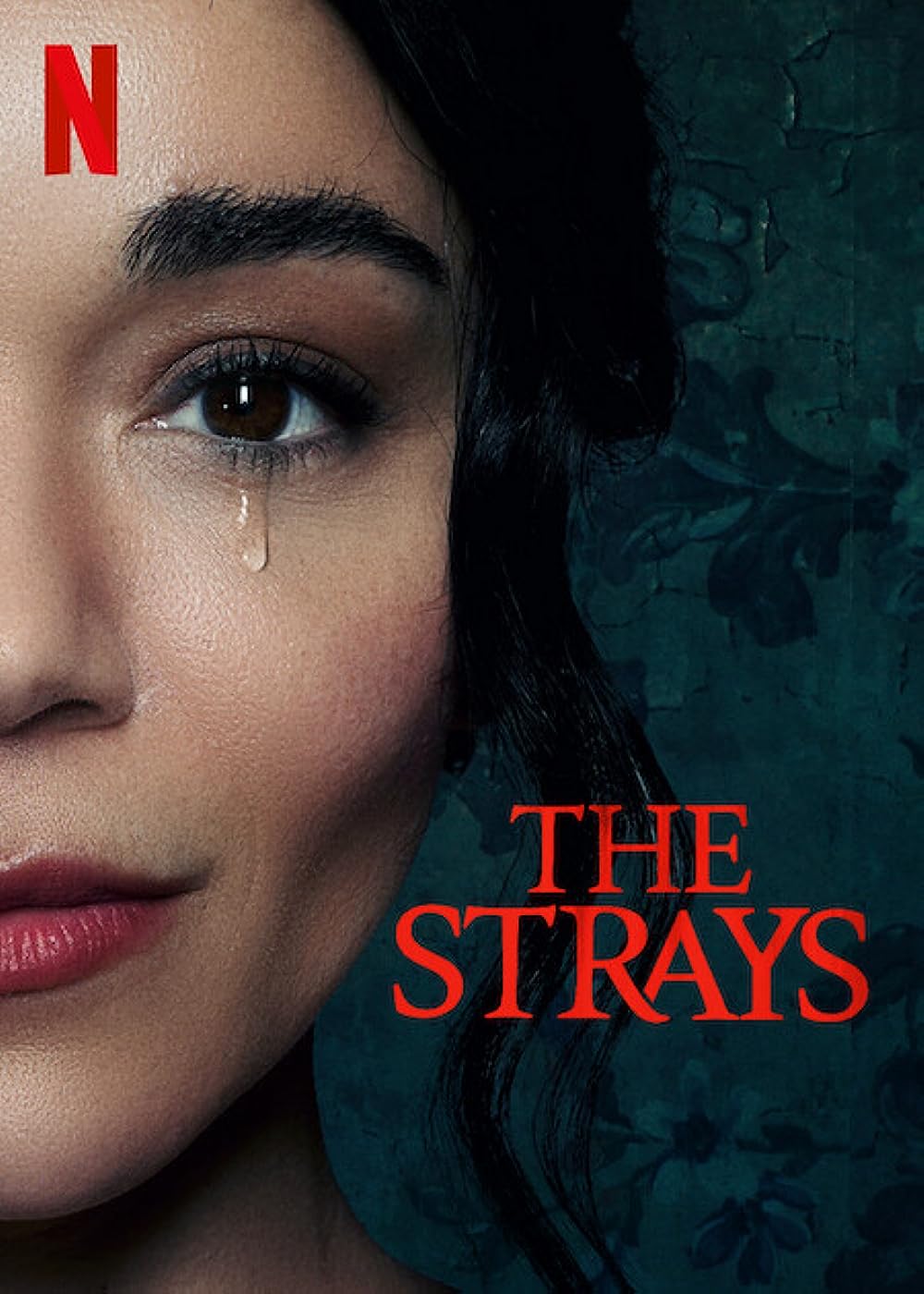 The Strays 