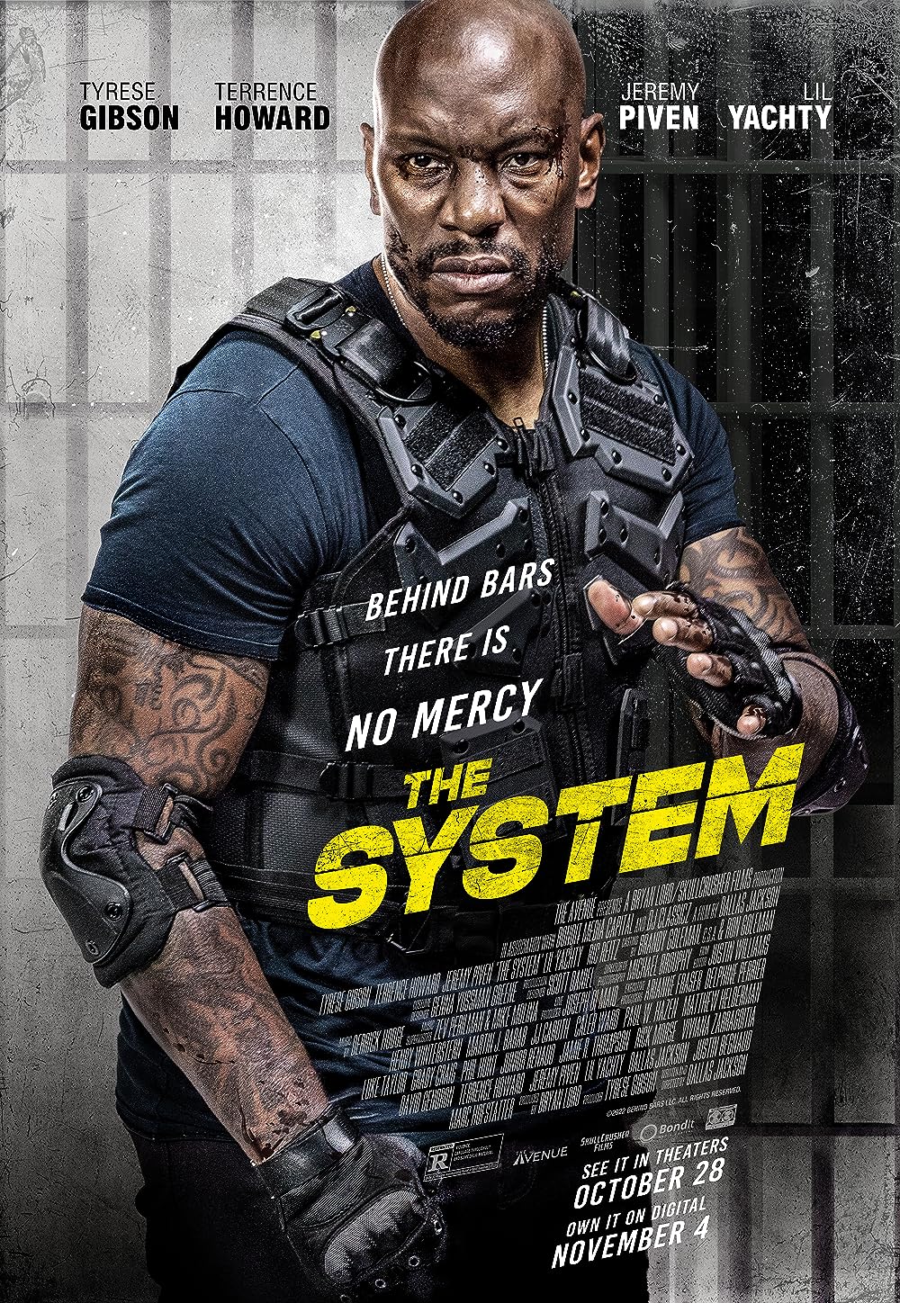 The System 