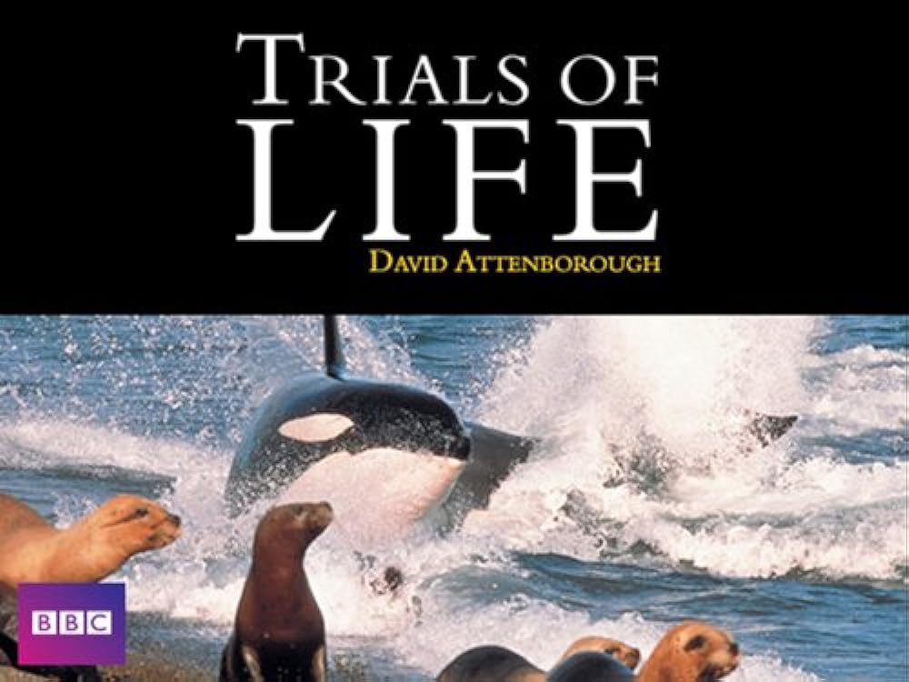 The Trials of Life 