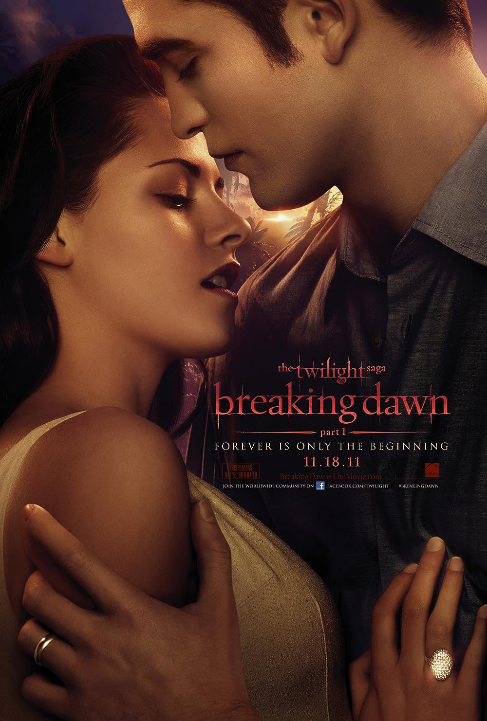 The Twilight Saga: Breaking Dawn - Part 1 