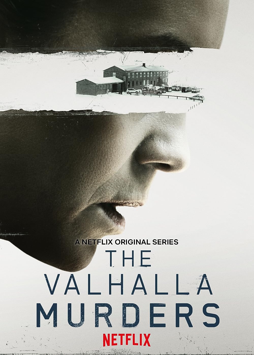 The Valhalla Murders 