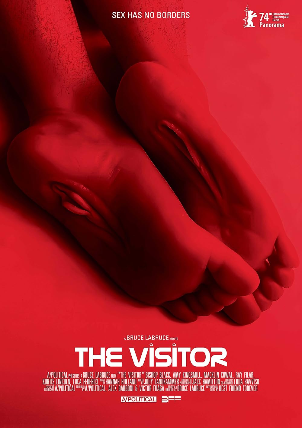 The Visitor 