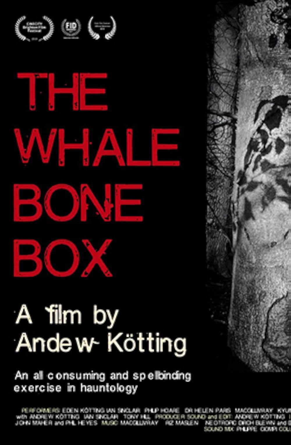 The Whalebone Box 