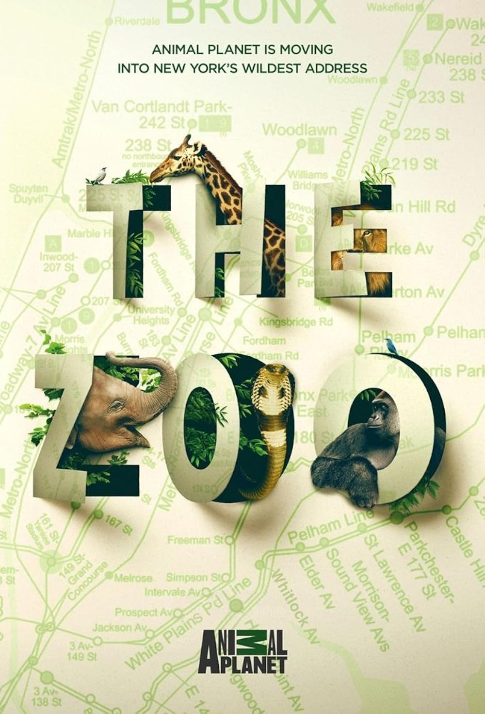 The Zoo 