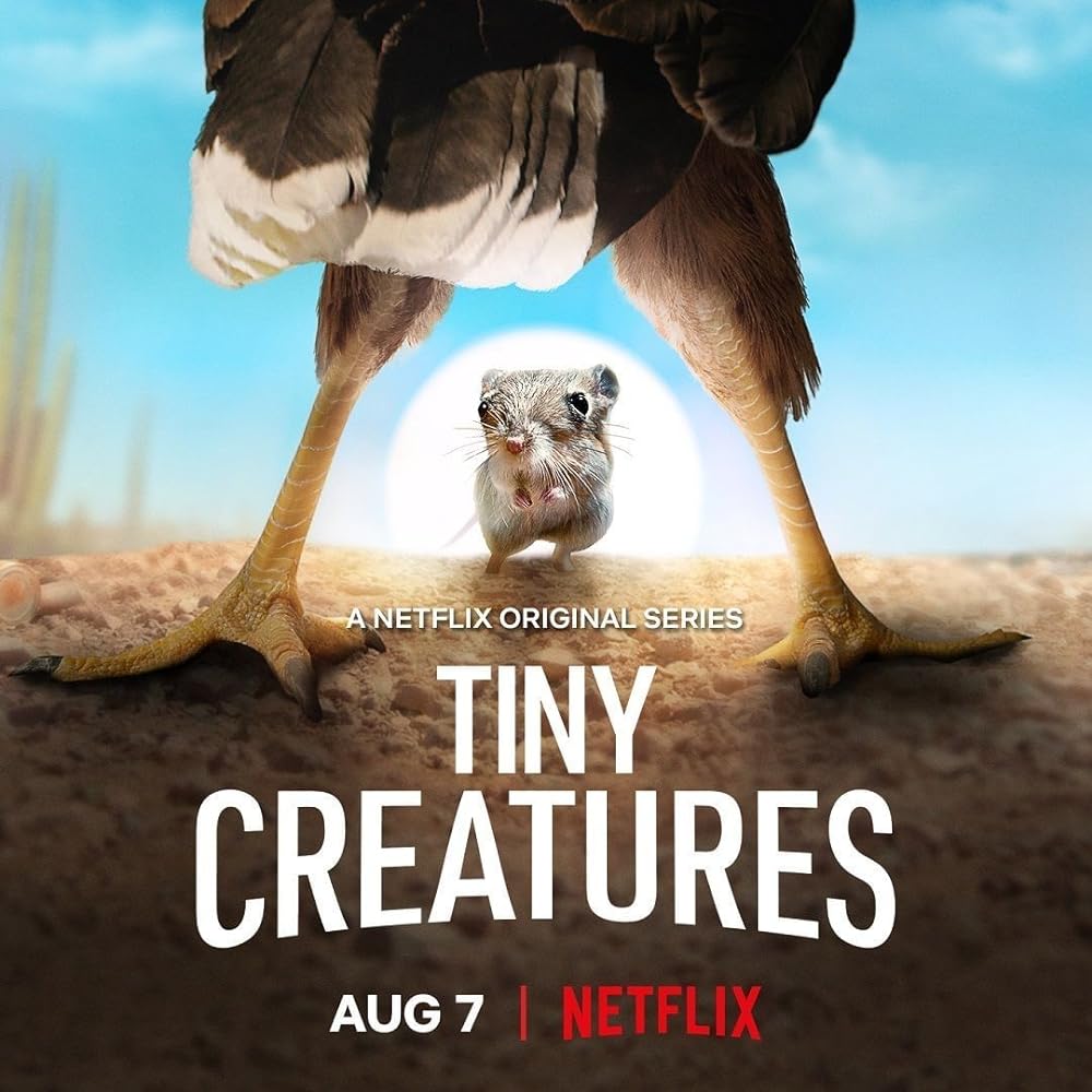 Tiny Creatures 