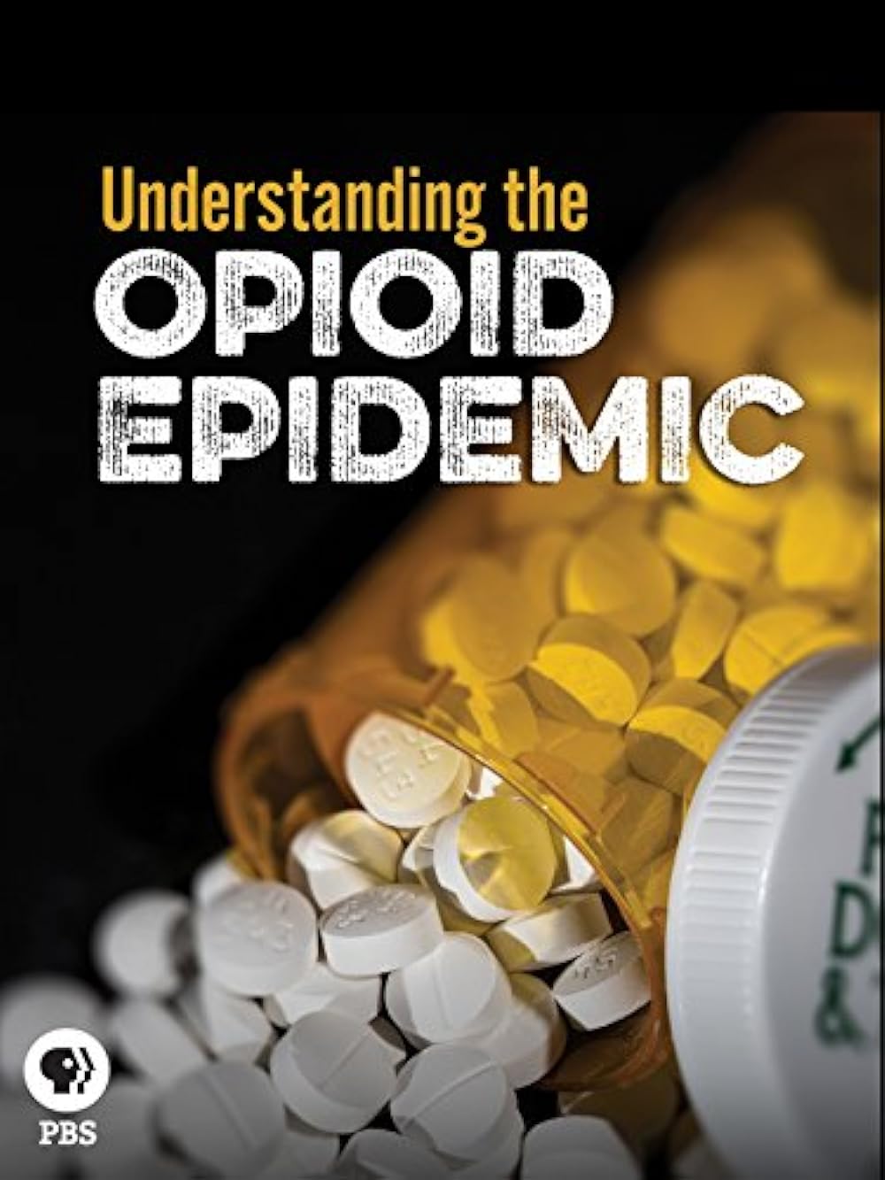 Understanding the Opioid Epidemic 
