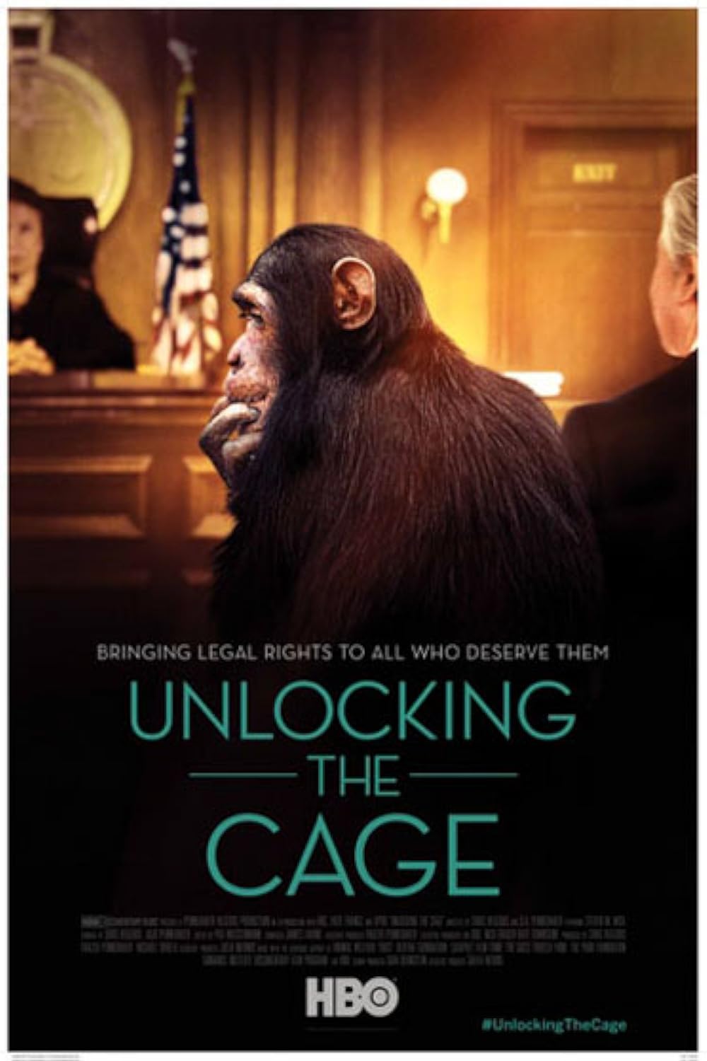 Unlocking the Cage 